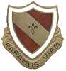 313th Combat Engineers Battalion - 88th Infantry Division 